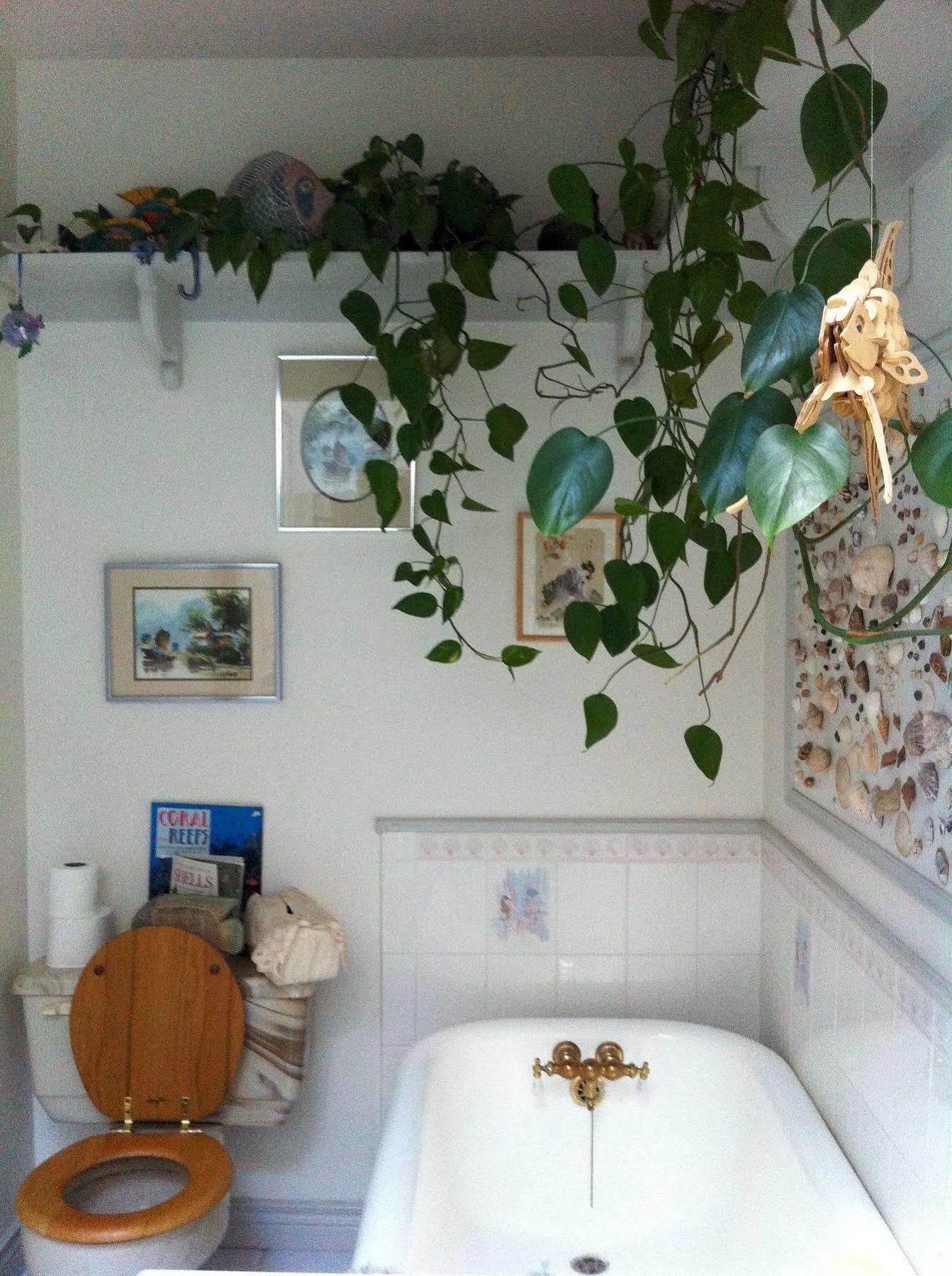 Elevate Rooms Calla'S Palace Τζάσπερ Εξωτερικό φωτογραφία